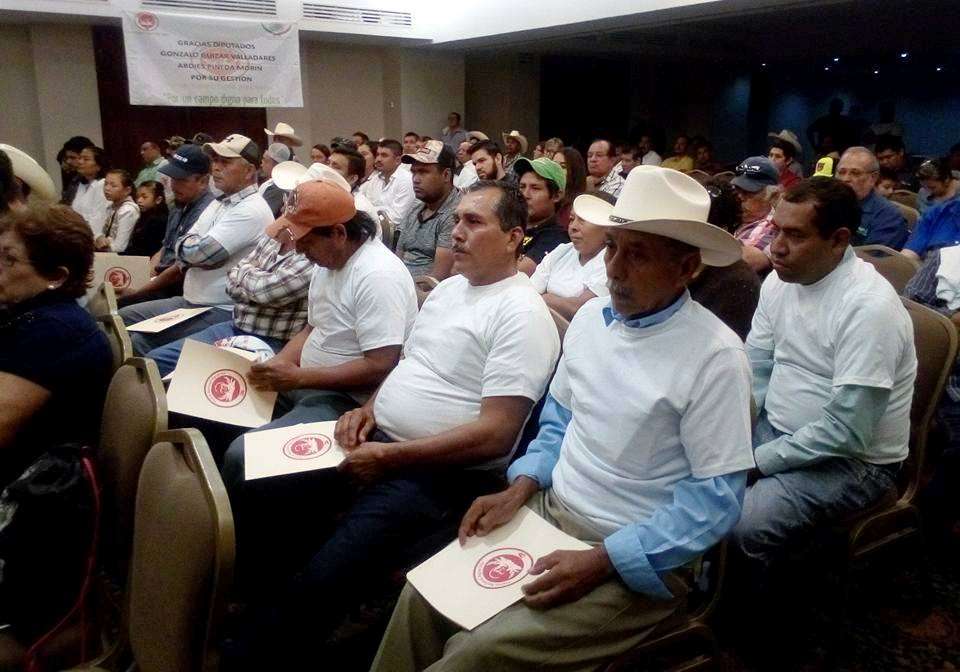 El licenciado Alberto Flores Ibarra entregó apoyos gestionados en SAGARPA ante un nutrido auditorio.