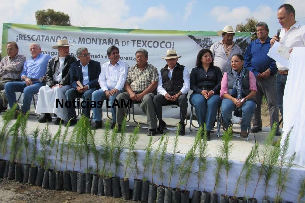 ’Se han plantado más de 1 millón de arbolitos y con esto también se han generado más de 450 empleos, dice Cuanalo Araujo’