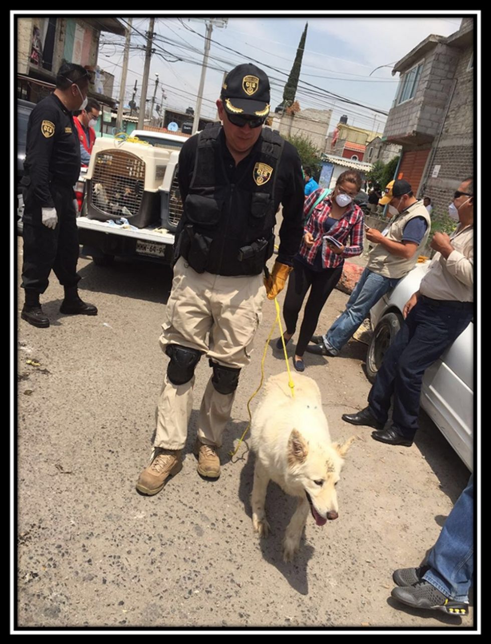 Fueron rescatados  40 perros en casa habitación de Ecatepec