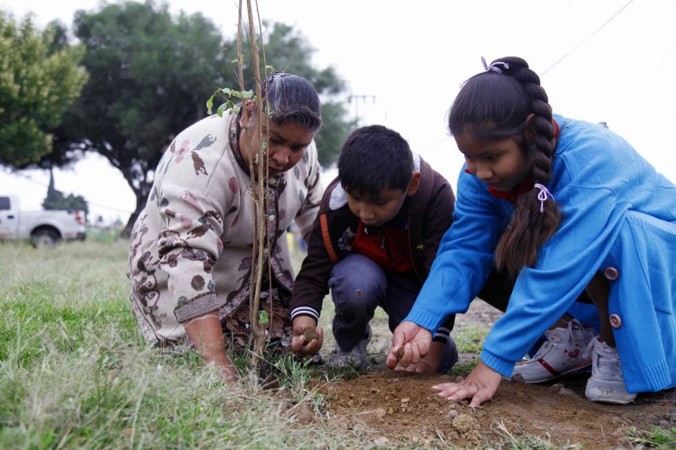 Plantan en Ecatepec 12 mil árboles para combatir contaminación en vialidades principales