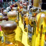 Exportación anual de Tequila y Mezcal alcanza alrededor de 184.8 millones de litros y se dirigen a 740 destinos internacionales