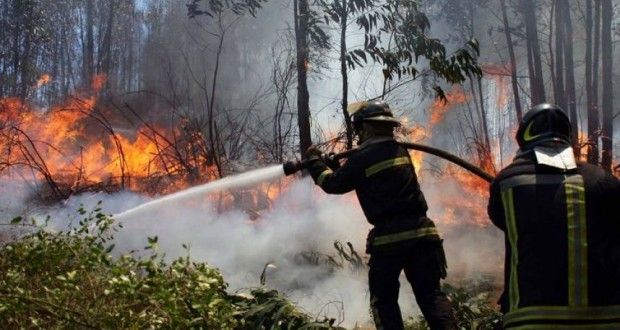 Probosque capacita a Texcoco para prevenir incendios forestales 