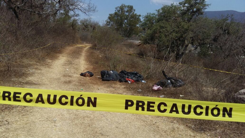 Hallan en Chilapa restos de seis descuartizados
 
