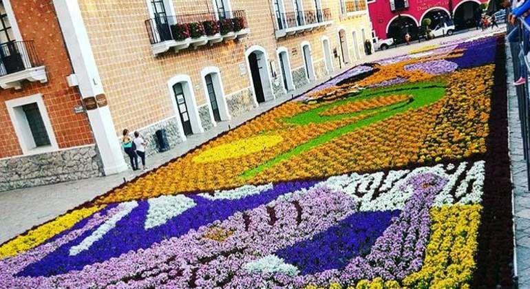 Este Pueblo Mágico alista un tapete elaborado con 120,000 flores