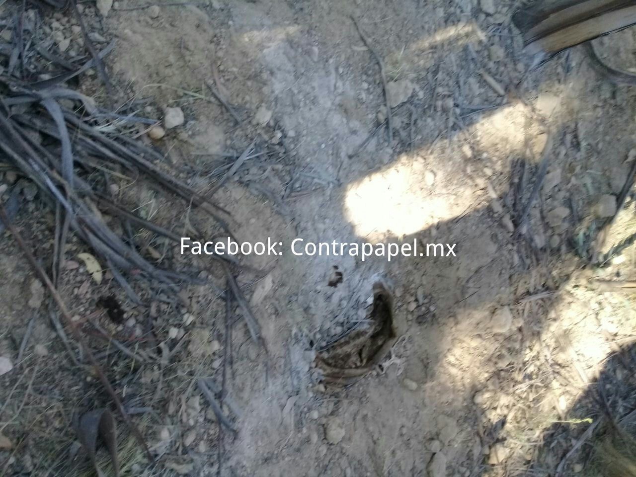 Identifican cadáveres hallados en fosa clandestina de Tepetlaoxtoc; FGJEM atrae investigación