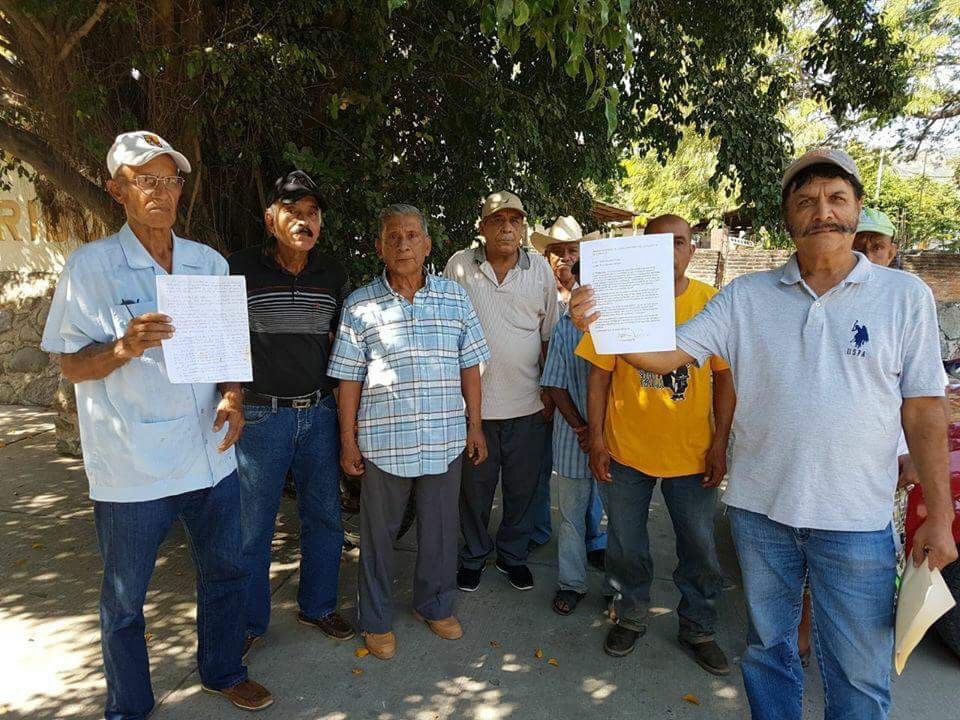 Una ’burla el precio de la gruesa de coco’ en Tecpan, denuncian productores