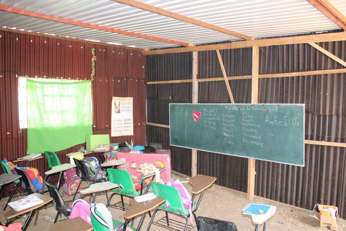 En Ixtapaluca, más de 200 niños estudian sobre aulas improvisadas de lámina de cartón y madera 