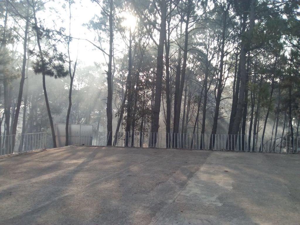 Controlan incendio forestal en Valle de Bravo
