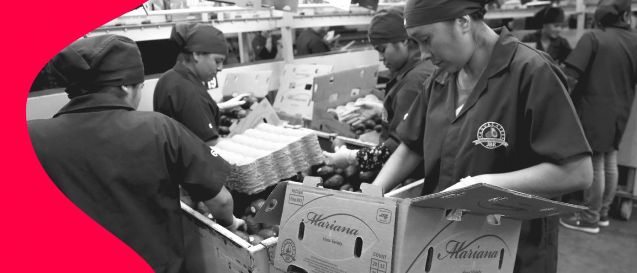 Contrario a lo que dice López Obrador, México sí tiene un superávit comercial en alimentos