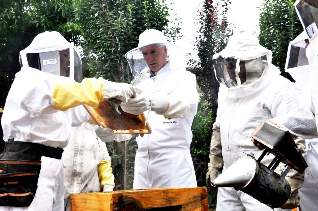  El GEM impulsa producción de tomate verde y apicultura en la región de los Volcanes