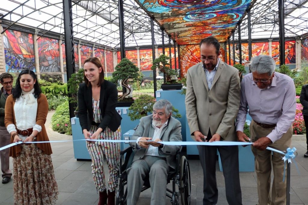 Festejan 38 años del Jardín Botánico ’Cosmovitral’ con exposición de Bonsáis