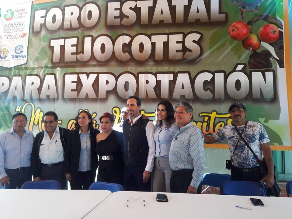 Productores de tejocote en Puebla van por plantaciones intensivas