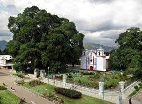 Santa María del Tule comunidad que marca la ruta del mezcal en el estado de Oaxaca