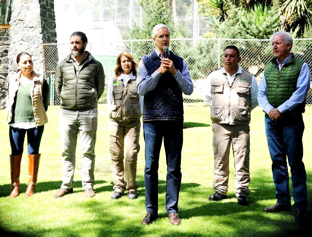 Anuncia Alfredo del Mazo que el parque ecológico Zacango albergará un cóndor de california, ave en peligro de extensión 