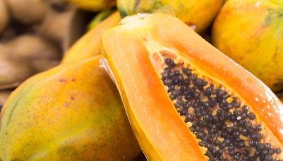 Patentan mexicanos método para diagnóstico de virus de la papaya