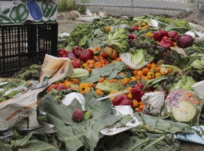 Más de 20 millones de toneladas de alimento se van a la basura al año en México