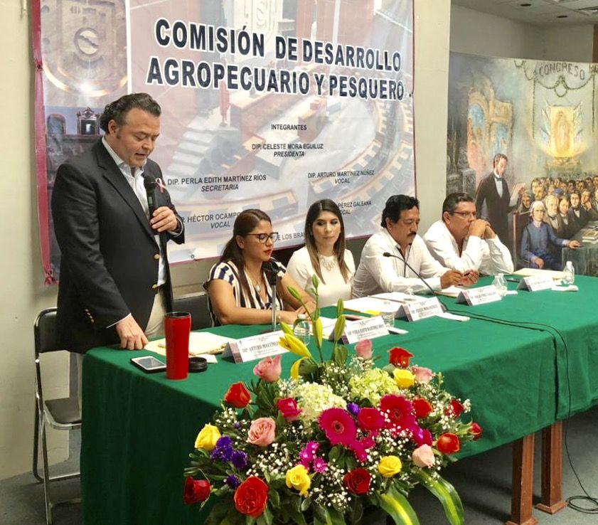 Buscarán diputadas potencializar el campo, la pesca y la ganadería en Guerrero 