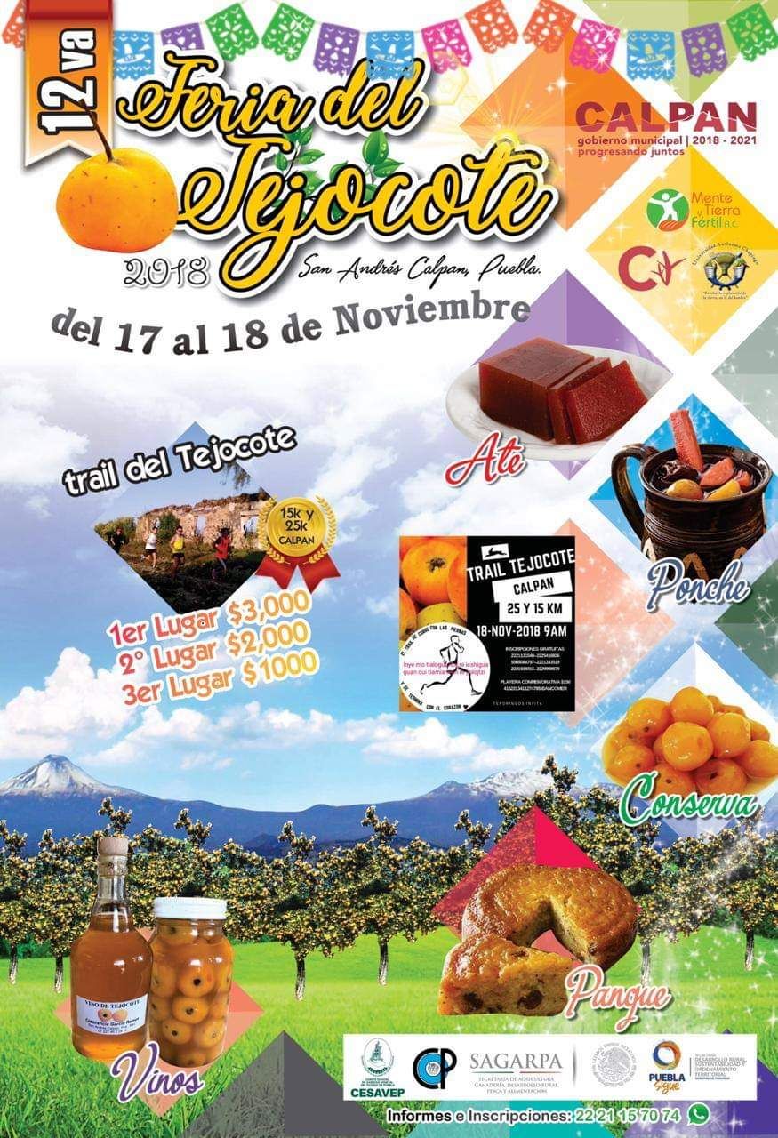 En Calpan, Puebla, 12va Feria del Tejocote y sus bondades