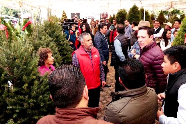 Impulsa GEM  economía local a través del apoyo a productores de árboles de navidad