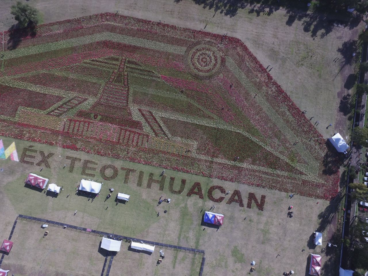 Obtiene Teotihuacán récord guinness por el tapete floral más grande del mundo 