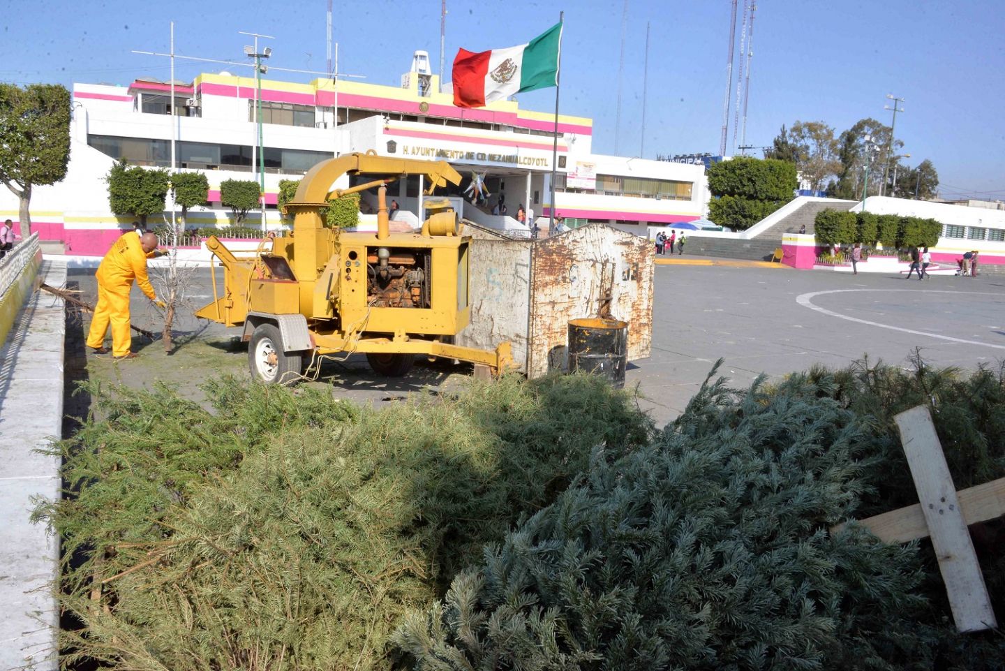 Instala gobierno municipal de Neza centros de acopio y reciclaje de arbolitos de Navidad