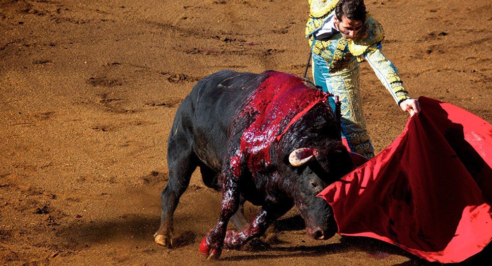Corrida de toros incita a violencia y crueldad animal