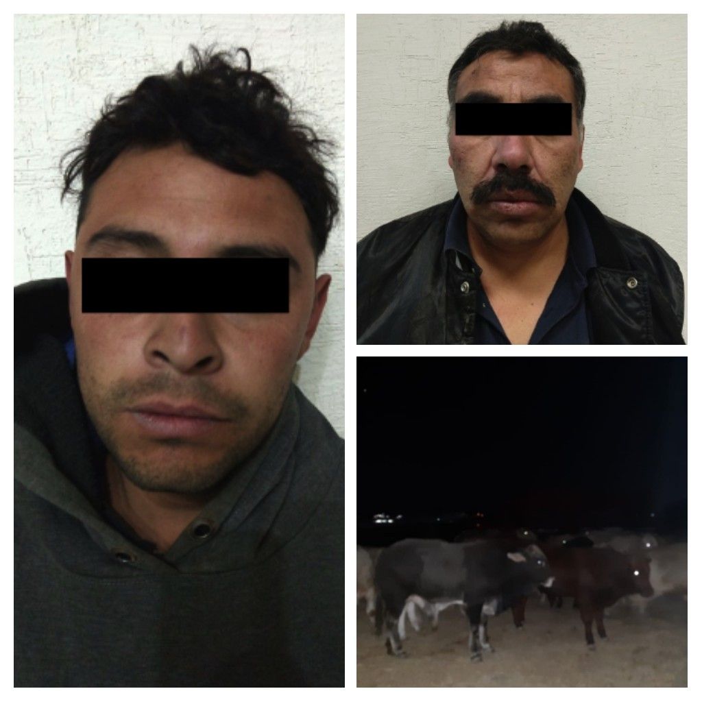 Policías de Texcoco capturan a dos "cuatreros"