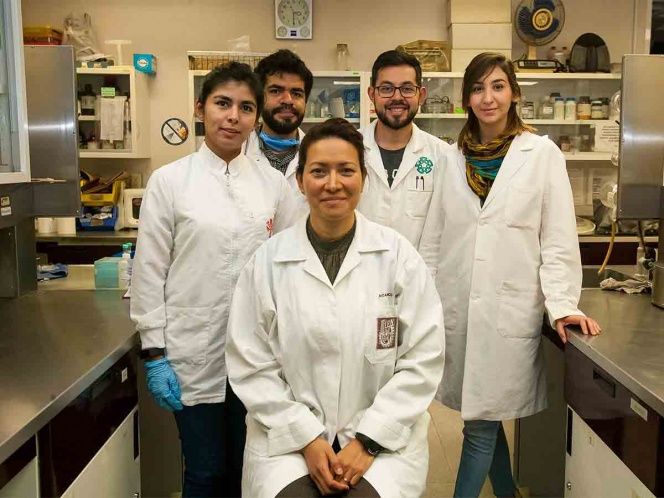 Investigadores del IPN logran erradicar el Virus del Papiloma Humano 