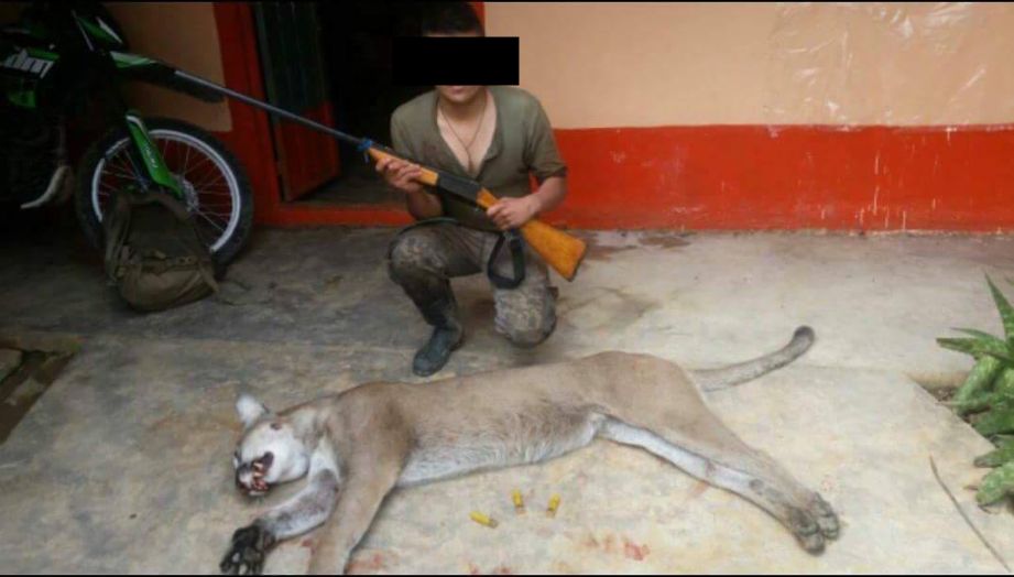 Consigue Biofutura que sancionen a cazador de puma con más de 40 mil pesos