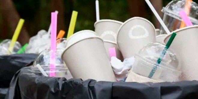 Comercios tendrán que adaptarse a dejar de usar plásticos desechables: Congreso de Hidalgo les da 6 meses