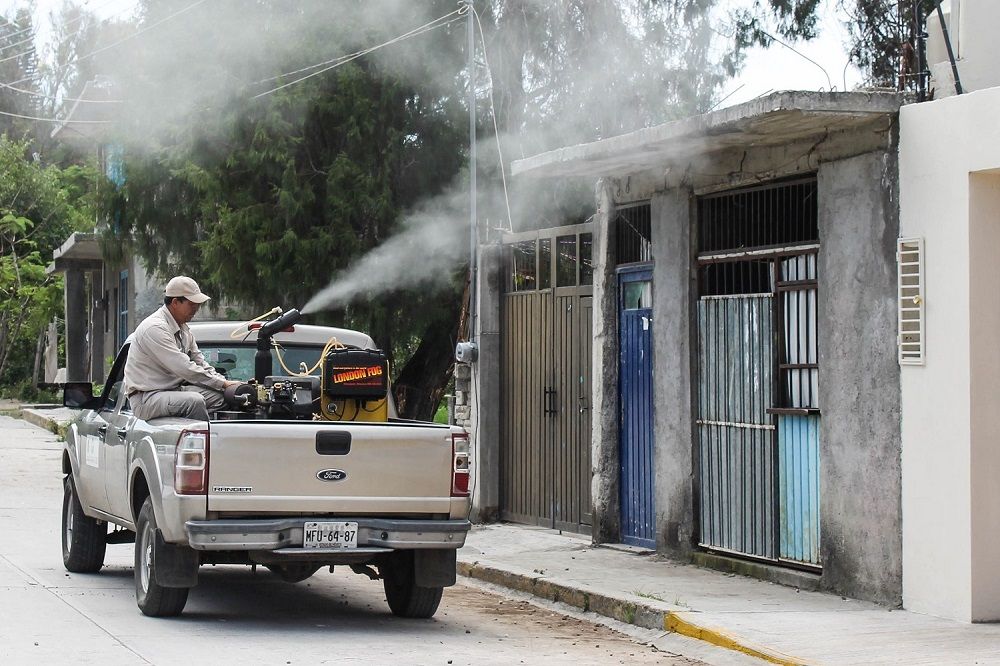  
Alista Edoméx acciones para prevenir  dengue, zika y chikungunya