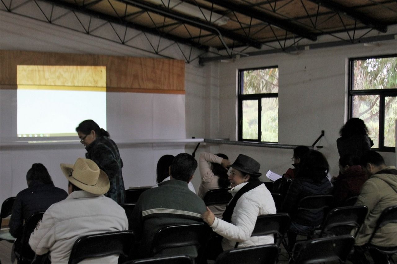 INBAL Y CULTURA ofrecen diplomado gratuito en literatura en lenguas indígenas 