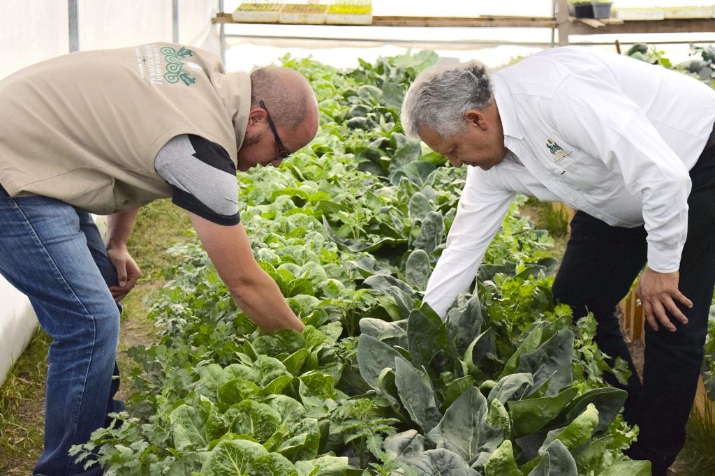 La cosecha de hortalizas de la UIEM y el Banco de alimentos Beneficia a la región norte del Edoméx