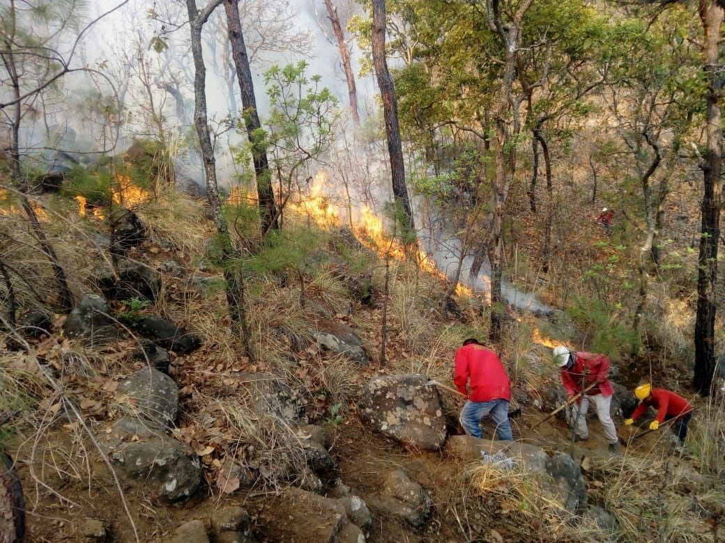 Los incendios forestales de Valle de Bravo, atentado al santuario del agua: AMLO y AMM nada hacen