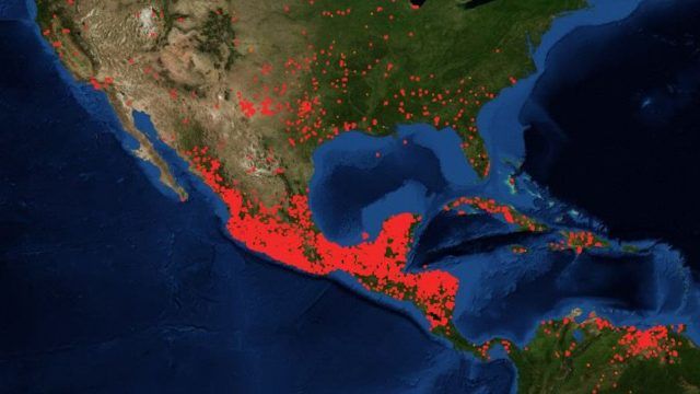 Imágenes de incendios en México tomadas por satélites sorprenden a la población