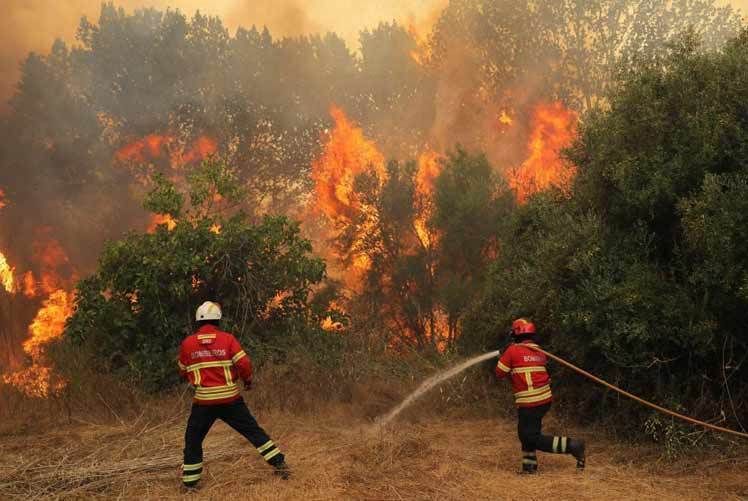 Carretera Molango- Huejutla es bloqueada por incendio forestal