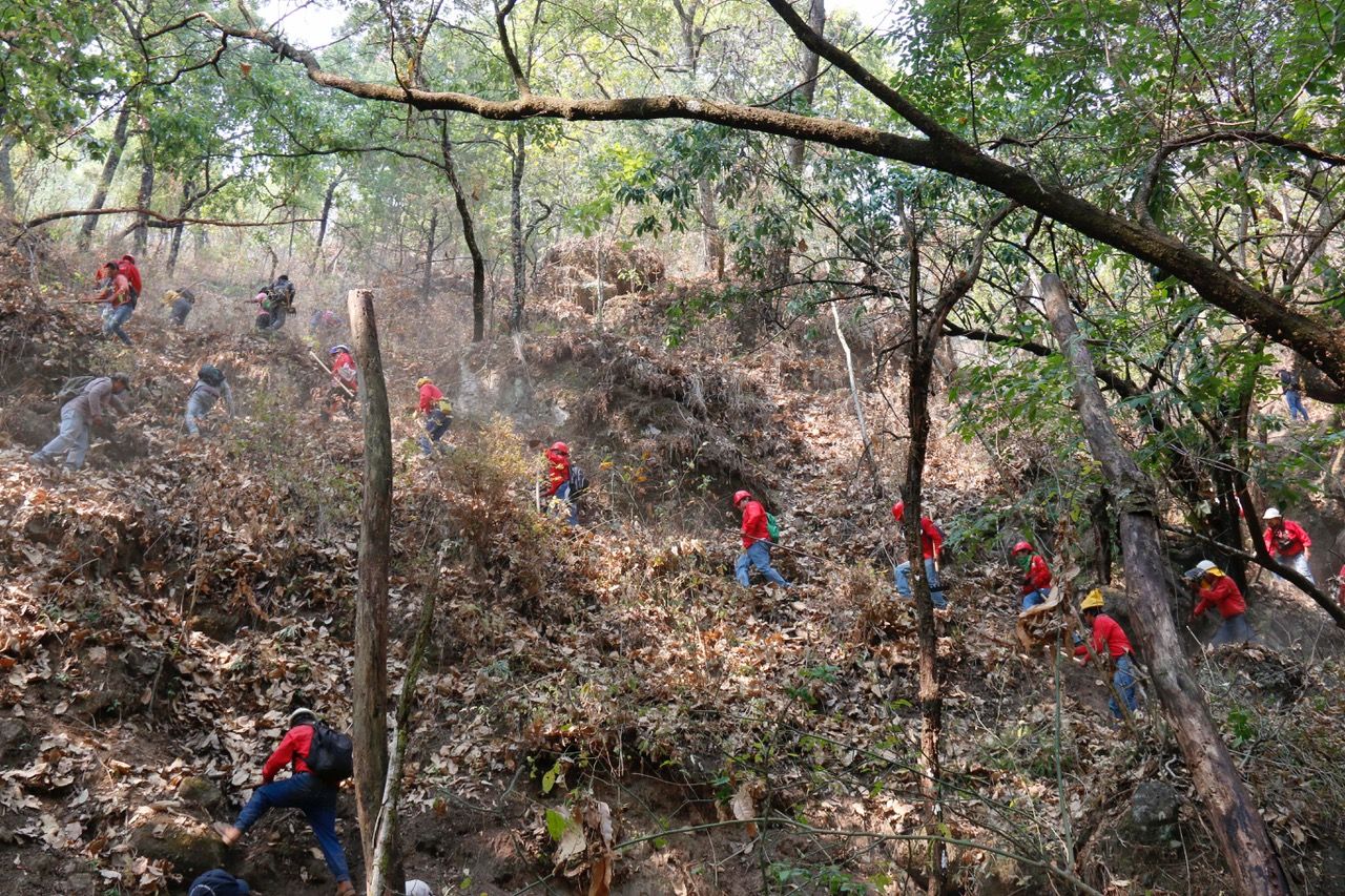 Brigadistas mexiquenses combaten más de mil 394 incendios forestales en estos cinco meses.