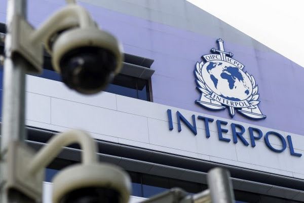 50 niños fueron rescatados de red de pedófilos por Interpol