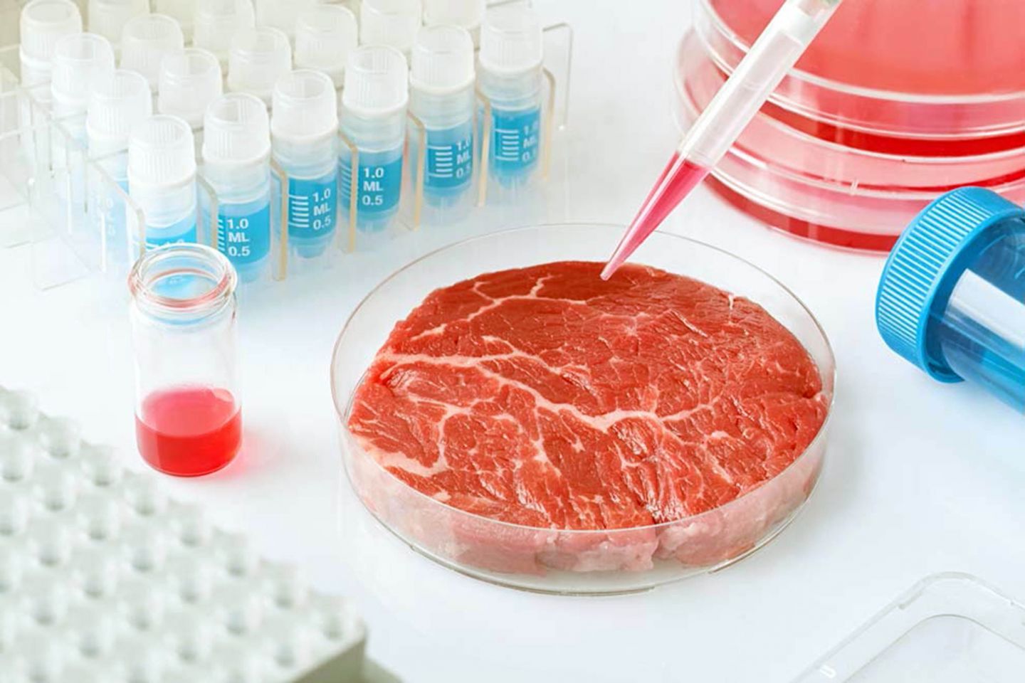 Israel comercializará con carne elaborada en laboratorio