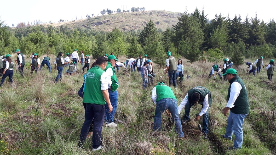 Servidores públicos de la  Codhem plantaron 400 árboles en el Parque Sierra  Morelos  

