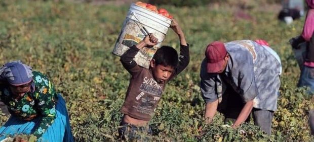 Tiene México más de 3.2 millones de niños trabajadores