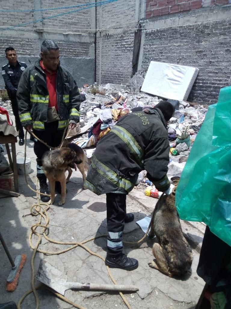 Perros atacan a bebé de 18 meses en Ixtapaluca