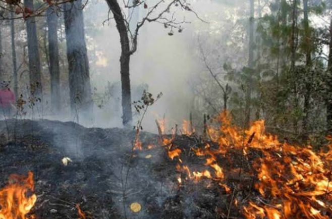 50 incendios provocados por fumadores en Michoacán