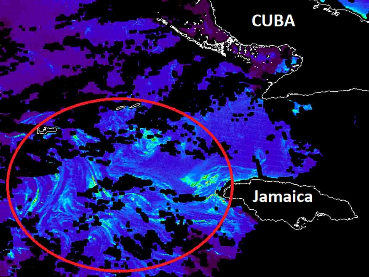 A través de satélites detectan gran mancha de sargazo que llegará a Cancún