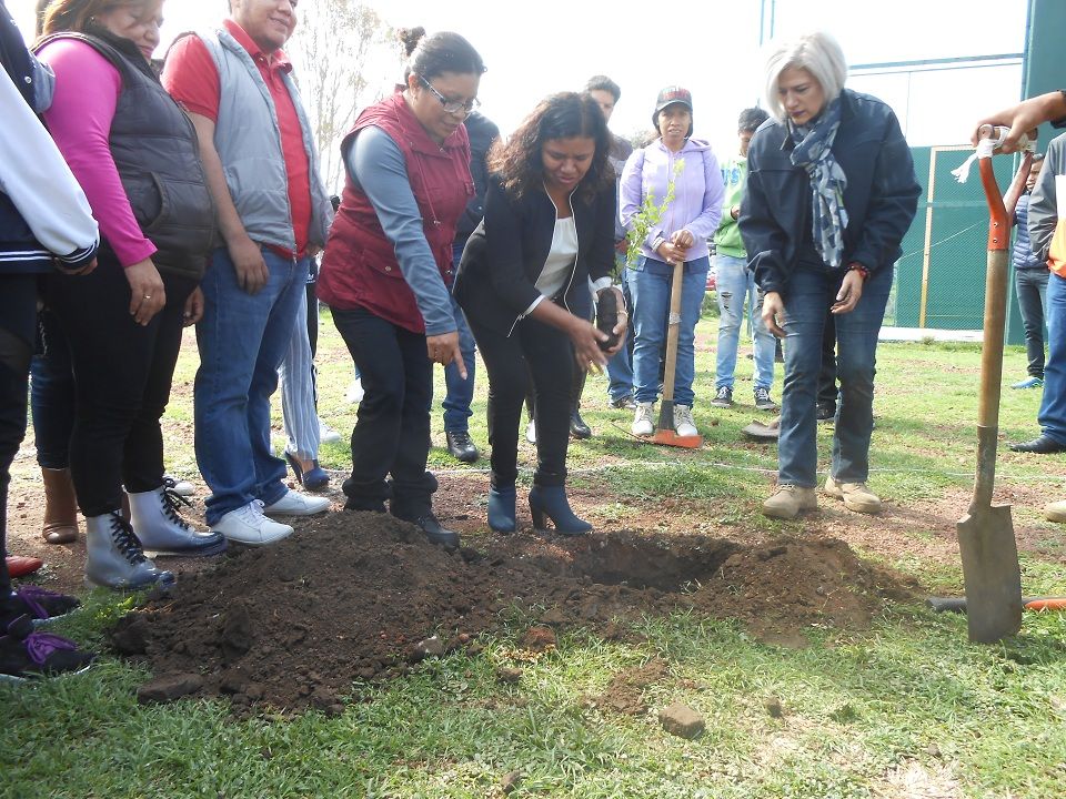  Resaltan campaña de reforestación en Tepetlaoxtoc