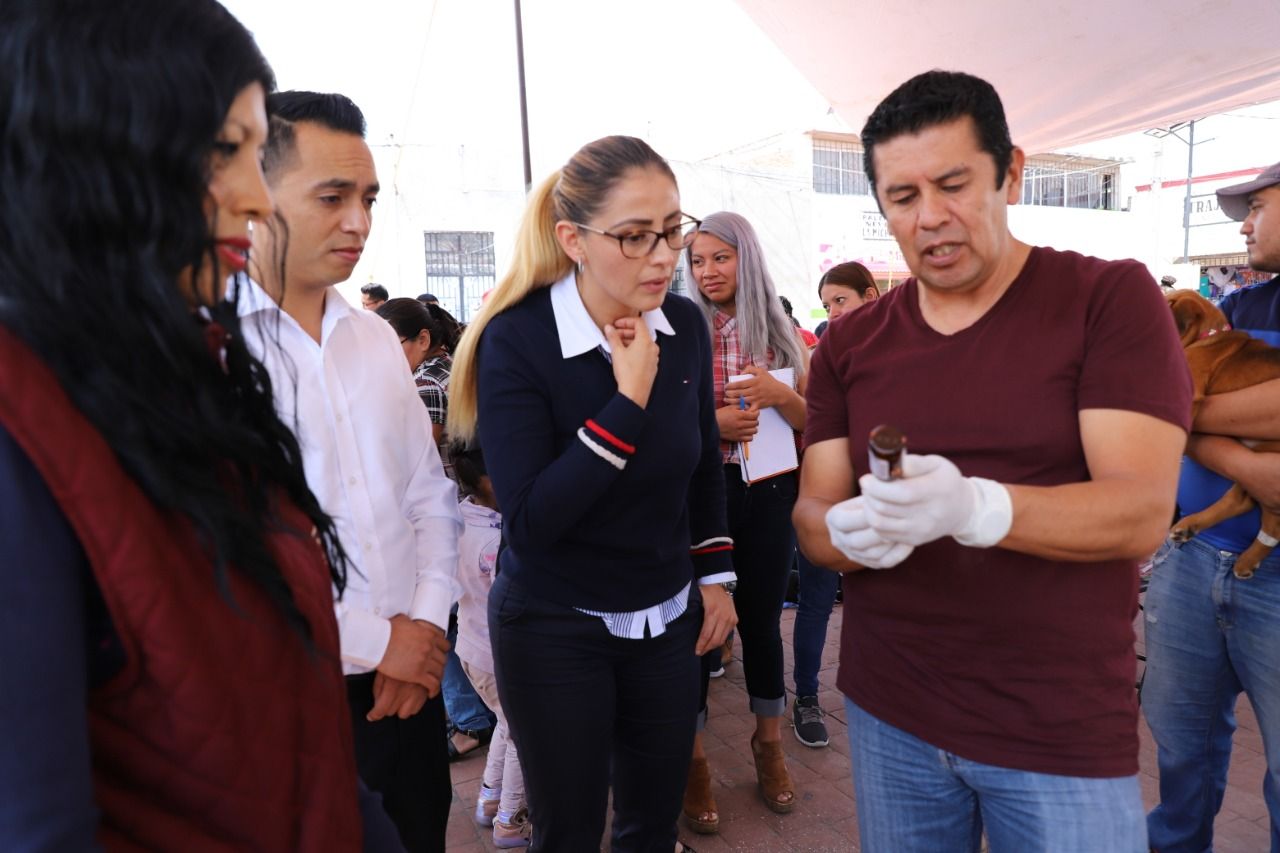 Gobierno de Chicoloapan lleva a cabo su décima jornada de esterilización 