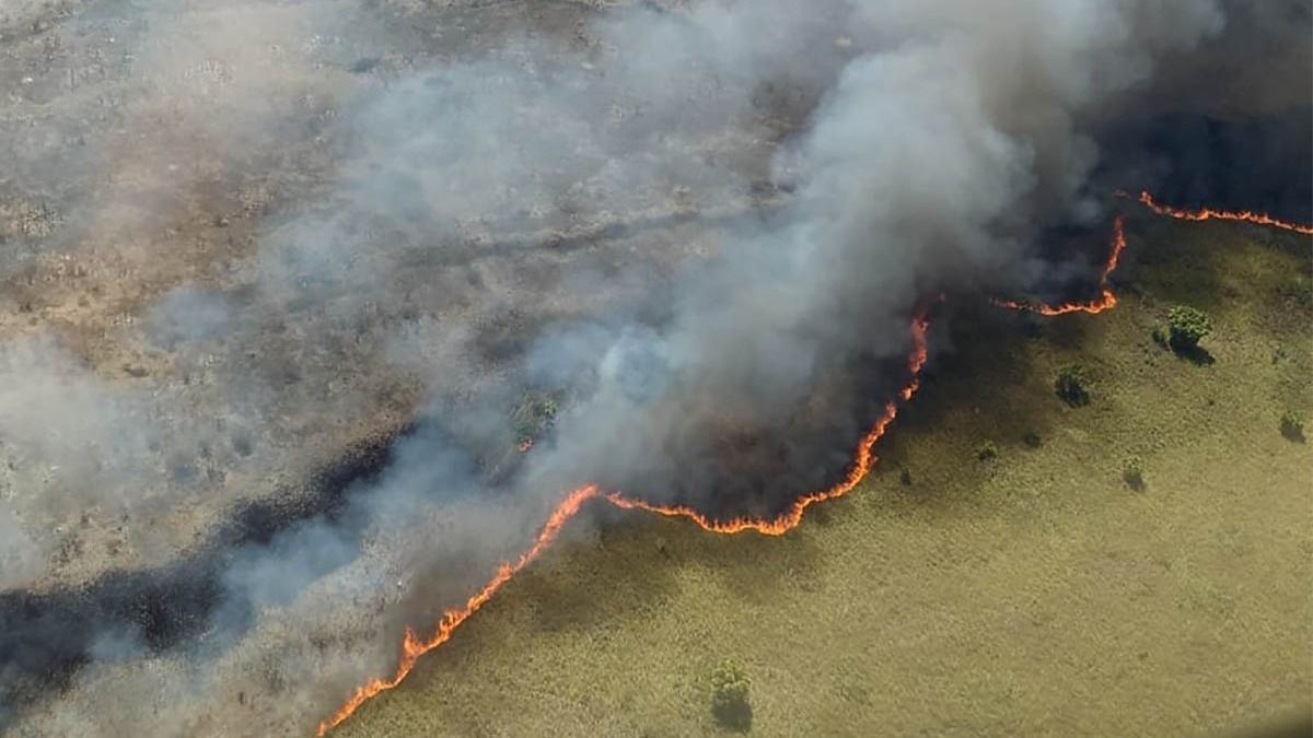 Reserva de Sian Ka’an en Quintana Roo consumida por incendios