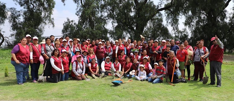 Gobierno municipal continúan reforestando Chicoloapan