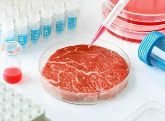 Carne de Laboratório ya estará a la venta en 2021