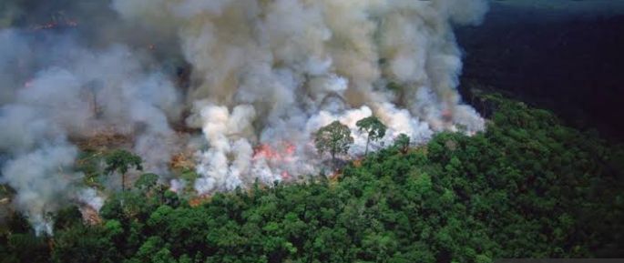 Incendio en el Amazonas ya dura 3 semanas